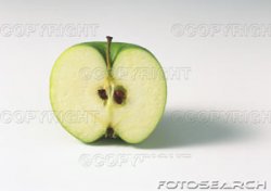 PAA276000027.jpg