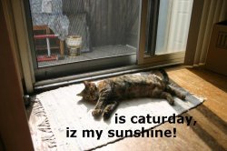 sunshine.jpg