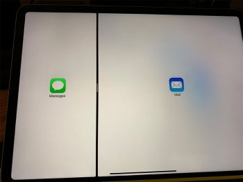 bug2.jpg bug2.jpg