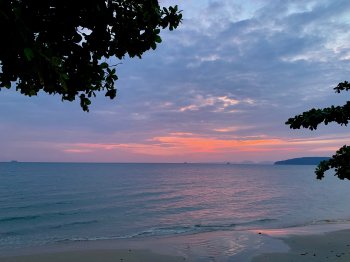 IMG_1503.jpeg