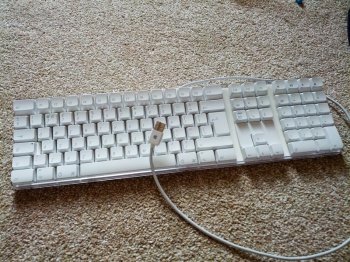 A03103E9-A9D6-4489-AC09-A2F0DA8A196F.jpeg