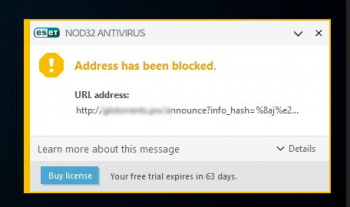ESET block website.png