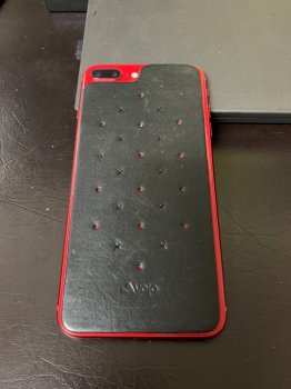 Phone Back.jpg