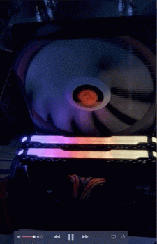 yay2.gif