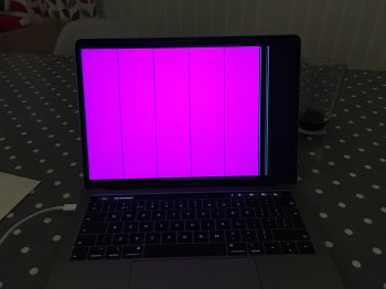 F49E4C12-CCC9-4E1B-8550-E7B3C97E5358.jpeg