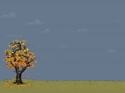 fall1_full.jpg