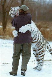 Tiger Hug.jpg
