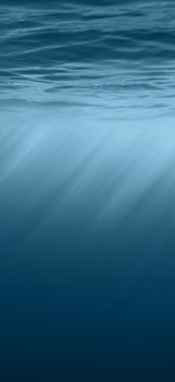 52F662F1-4B4D-4311-AACB-ADC19150115D.jpeg