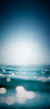 18B2D9DE-A7C1-413F-9D7B-65FB0CFBD534.jpeg