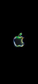 4B7BA931-869B-4295-BB8F-181C1D458FF7.jpeg