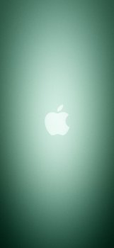 6A69CD95-2782-4589-9837-D2C5A6066655.jpeg