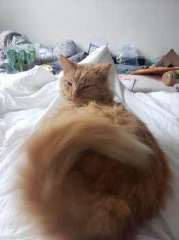 20190210_125619.jpg