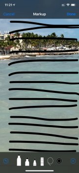 IMG_3893.jpeg