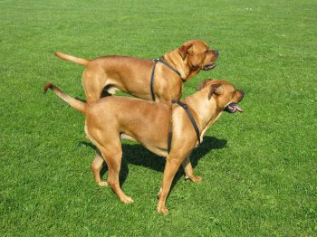 Jake and Ella May53.JPG