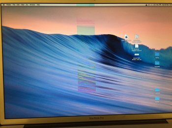 Photo 26-02-2019, 10 48 07 PM.jpg