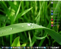 Green_2.jpg