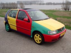 polomulti.jpg