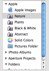 Picture 3.png