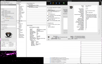 Disk Utility.png