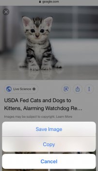 D10DED6A-7642-4007-B3C7-66D3A04237DE.jpeg