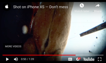 Screen Shot 2019-04-17 at 11.16.32 AM.png