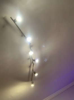E53237C8-00ED-49E0-86C3-F2465AEFA8D3.jpeg E53237C8-00ED-49E0-86C3-F2465AEFA8D3.jpeg