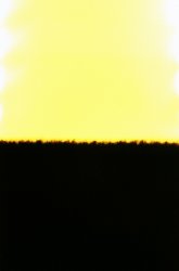 Untitled-2a.jpg