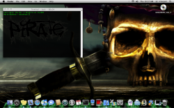 Picture 1.png