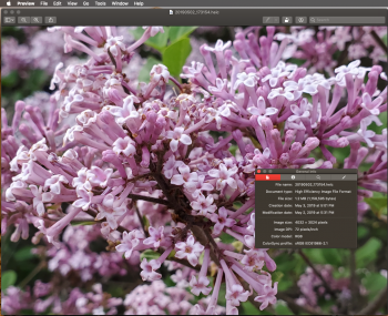 Screen Shot 2019-05-05 at 11.31.54 AM.png