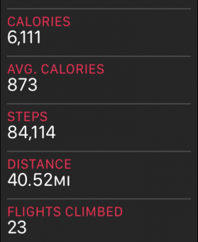 STEPS.PNG