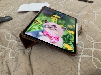 6vgxWhKeTDKSh9NAilrtWw.jpg