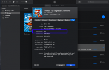 Screen Shot 2019-05-20 at 1.50.43 pm.png