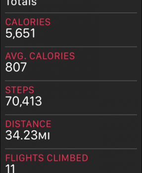ZSTEPS.png