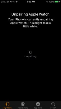 IMG_0467.jpeg