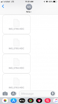 IMG_4053.PNG