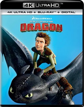 How to Train You Dragon (2014).jpg