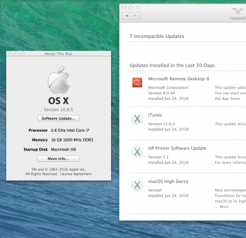 Screen Shot 2019-06-24 at 3.47.16 AM.png