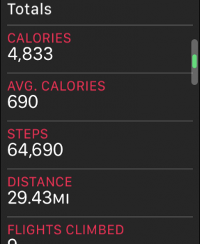 steps.PNG
