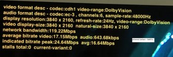Altered Carbon Netflix DV.jpg