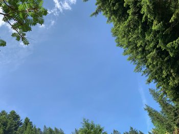 211EFF25-D729-4218-A0A8-BD55D6920ED9.jpeg