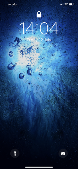 IMG_0175.PNG