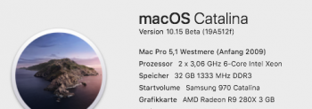 cMP & Cat DP4.png