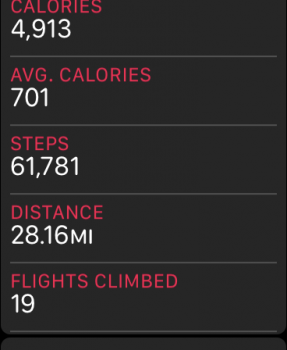 steps.PNG