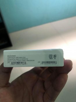 67771061_417493332453128_3922616085525823488_n.jpg
