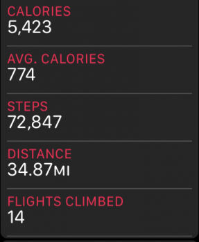 steps.PNG