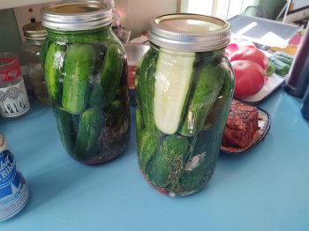 2019-08-18 17.07.16.jpg