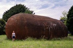 Big_Potato_m815981.jpg