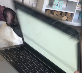 Screenshot 2019-08-28 at 16.10.55.png