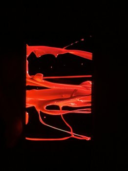 5917E6AD-16EA-4B2D-B222-3F4632CF5A96.jpeg