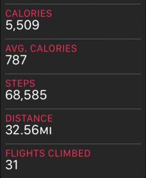 steps.PNG